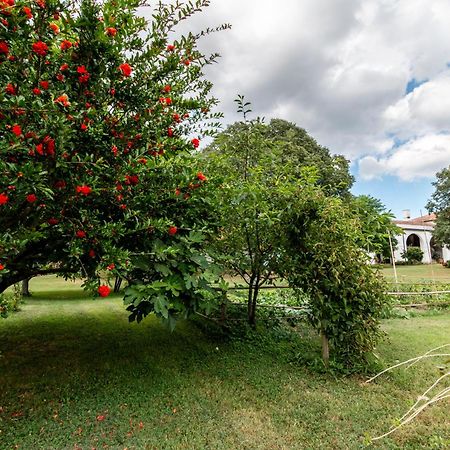 All'Ombra Del Bagolaro Taglio Di Po Экстерьер фото